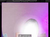 뽀삐.gif