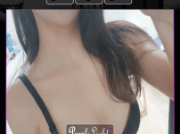 도하1.gif