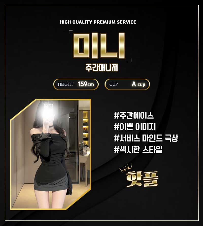 미니.jpg
